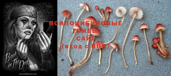 бошки Гусь-Хрустальный