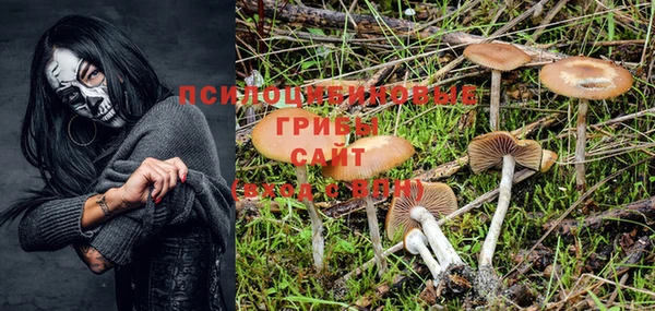 гашиш Гусиноозёрск