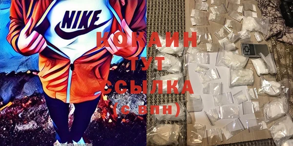 дживик Снежинск