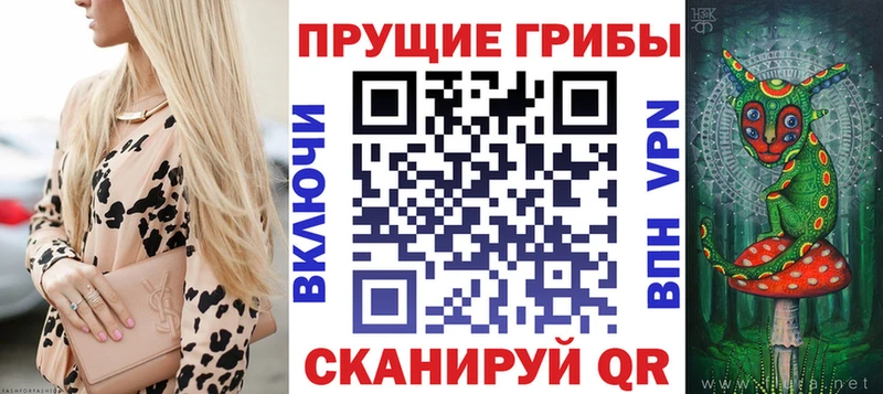 Галлюциногенные грибы Psilocybe  Богородск 