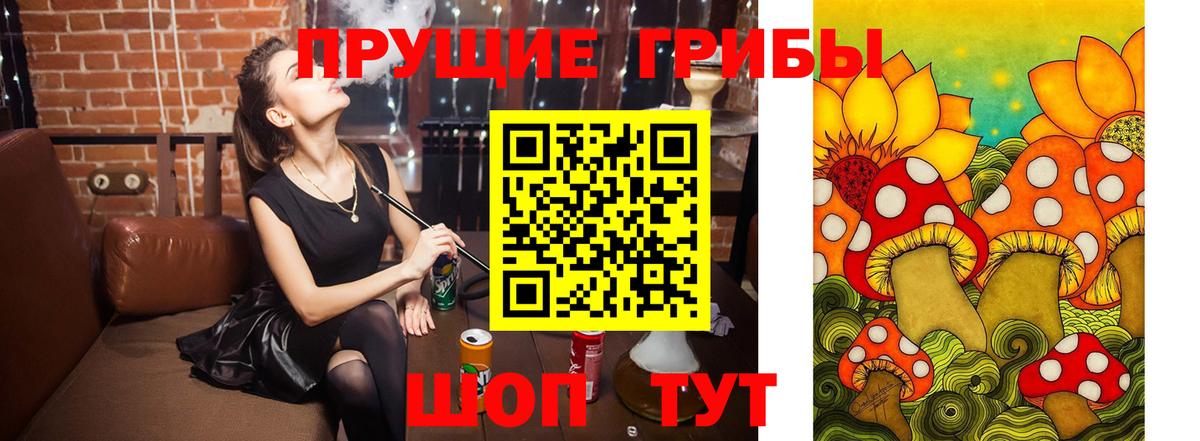 Галлюциногенные грибы GOLDEN TEACHER Богородск